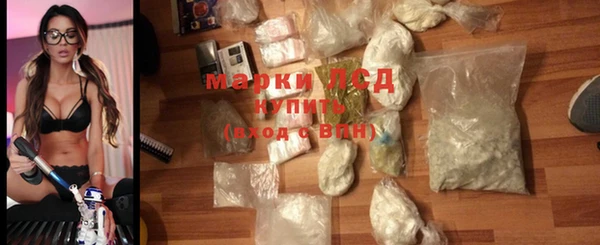 гашик Дмитриев