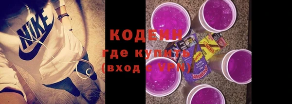 гашик Дмитриев