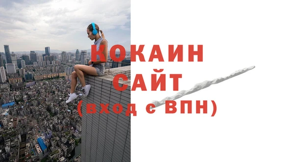 гашик Дмитриев