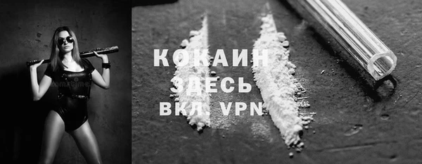 дмт Ельня