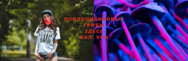каннабис Дмитров