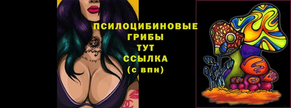 гашик Дмитриев