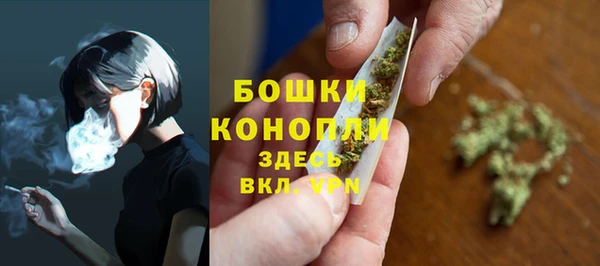 дмт Ельня