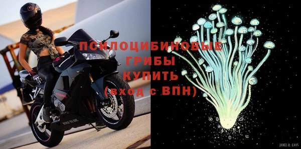 гашик Дмитриев