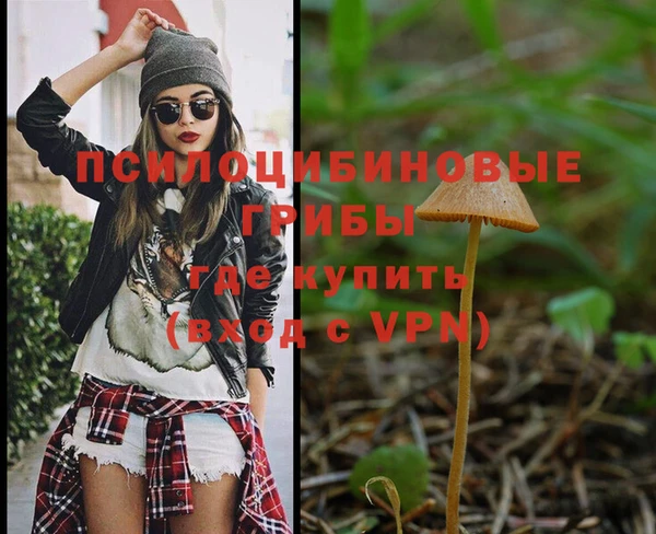 каннабис Дмитров