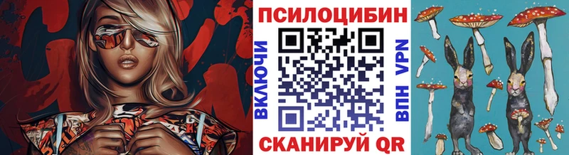 Галлюциногенные грибы Psilocybe  Дальнегорск 