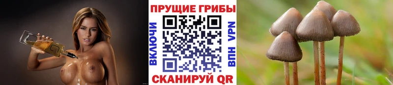 Галлюциногенные грибы MAGIC MUSHROOMS Дальнегорск