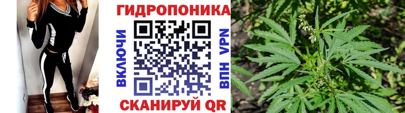 купить  цена  Дальнегорск  дарк нет формула  Шишки марихуана семена 